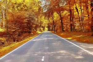 Beautiful panorama view on a golden autumn landscape found in europe photo