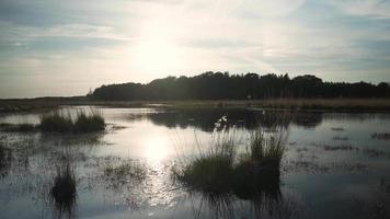 Sun shines down on calm lake reflecting trees and sky video