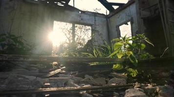 Sun light shines into window of abandoned building