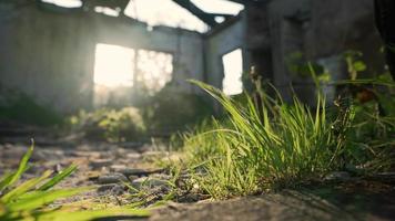 Sun light shines into window of abandoned building video