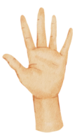 Watercolor hands gesture png