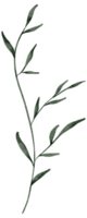 acuarela de elemento de hoja verde png