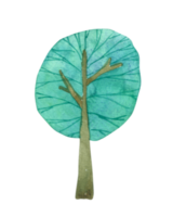 arbre aquarelle dessin animé mignon png