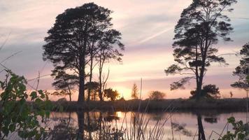 Sun shines down on calm lake reflecting trees and sky