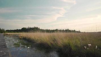 Stream flows near an open grassy meadow under a blue cloudy sky video