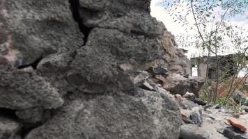 rocas y hierba en primer plano video
