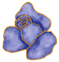 Flower with gold watercolor png