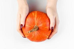 Hands hold ripe pumpkin on white background. Woman collects autumn harvest. Halloween and Thanksgiving symbol. photo