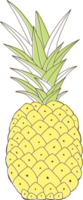 Cartoon vegetables and fruits png