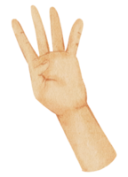 Watercolor hands gesture png