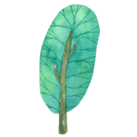 arbre aquarelle dessin animé mignon png