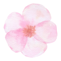 élément de fleur fleur de mariage aquarelle png