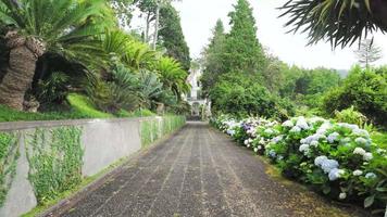 Sidewalk lined with flowering plants and trees video