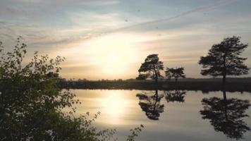 Sun shines bright on a calm pond reflecting trees and sky video