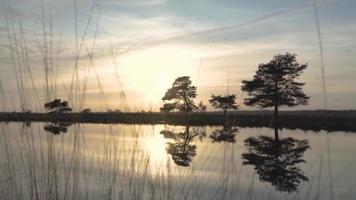 solen skiner ner på den lugna sjön som reflekterar träd och himmel video