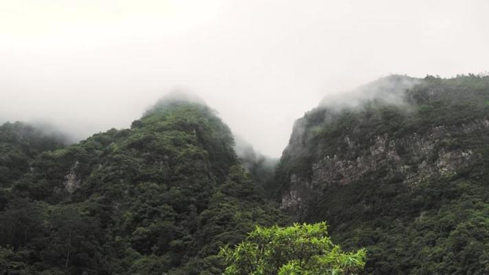 霧氣影片