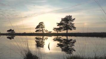 Sun shines down on calm lake reflecting trees and sky video