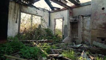 interior de un edificio abandonado sobre crecido con hierba, plantas video