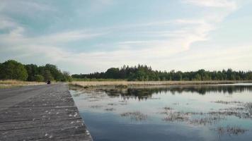 passerelle près de l'étang va à l'horizon de la limite des arbres video