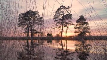 Sun shines down on calm lake reflecting trees and sky video