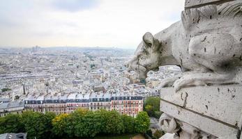 Paris View from Sacre Coeur Basilica photo
