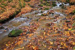 cascada en el bosque foto