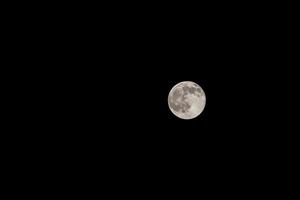 Full Moon Phase of Moon photo