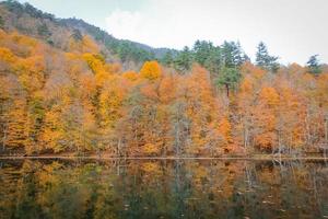 lago buyuk en el parque nacional yedigoller, turquía foto