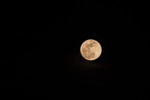 súper luna de sangre azul foto