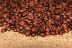 Roasted Coffee Beans photo