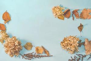 Autumn composition. autumn leaves on bright blue pastel background. Flat lay, top view copy space. photo