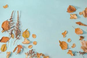 composición de otoño. hojas de otoño sobre fondo azul pastel brillante. endecha plana, espacio de copia de vista superior. foto