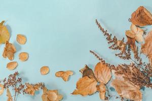 Autumn composition. autumn leaves on bright blue pastel background. Flat lay, top view copy space. photo