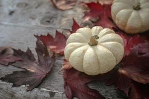 decoración festiva de otoño de calabazas, pinos y hojas sobre un fondo de madera. concepto de día de acción de gracias o halloween. composición plana de otoño con espacio de copia. foto