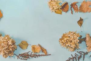 Autumn composition. autumn leaves on bright blue pastel background. Flat lay, top view copy space. photo