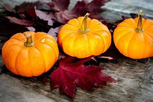 Festive autumn decor from pumpkins, pine and leaves on a  wooden background. Concept of Thanksgiving day or Halloween. Flat lay autumn composition with copy space. photo