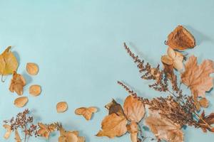 Autumn composition. autumn leaves on bright blue pastel background. Flat lay, top view copy space. photo