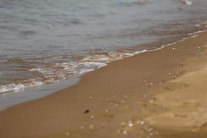 Sandy beach and sea photo