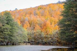 Derin Lake in Yedigoller National Park, Turkey photo