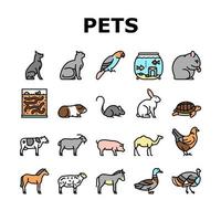 Pets Domestic Animal Collection Icons Set Vector