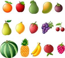 set collection of fresh fruit vector