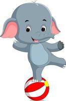 A baby circus elephant balancing on a big ball vector