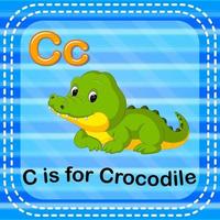 Flashcard letter C is for crocodile vector