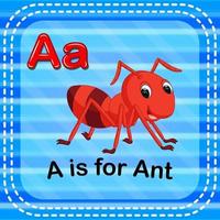 Flashcard letter A is for ant vector