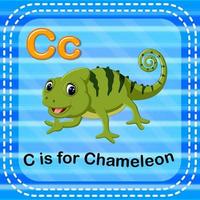 Flashcard letter C is for chameleon vector