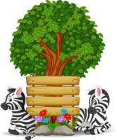 two zebra in front of an empty wooden signboard vector