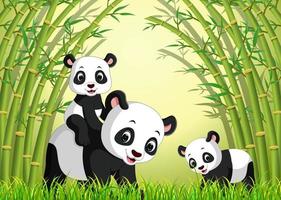 cute panda in a bamboo forest vector