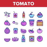 conjunto de iconos de colección de comida vegetariana de tomate vector