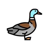 pato pájaro color icono vector ilustración