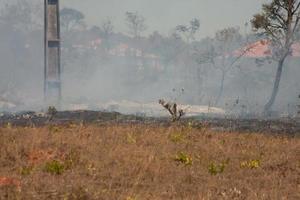 un incendio forestal cerca de la reserva india karriri-xoco y tuxa en la sección noroeste de brasilia, brasil foto